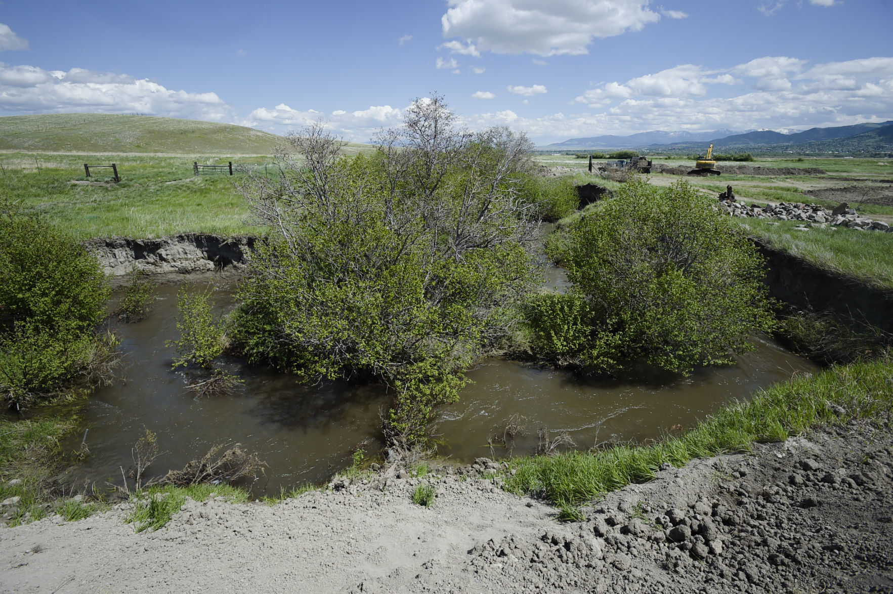 Prickly Pear Land Trust has begun a restoration project on Sevenmile Creek